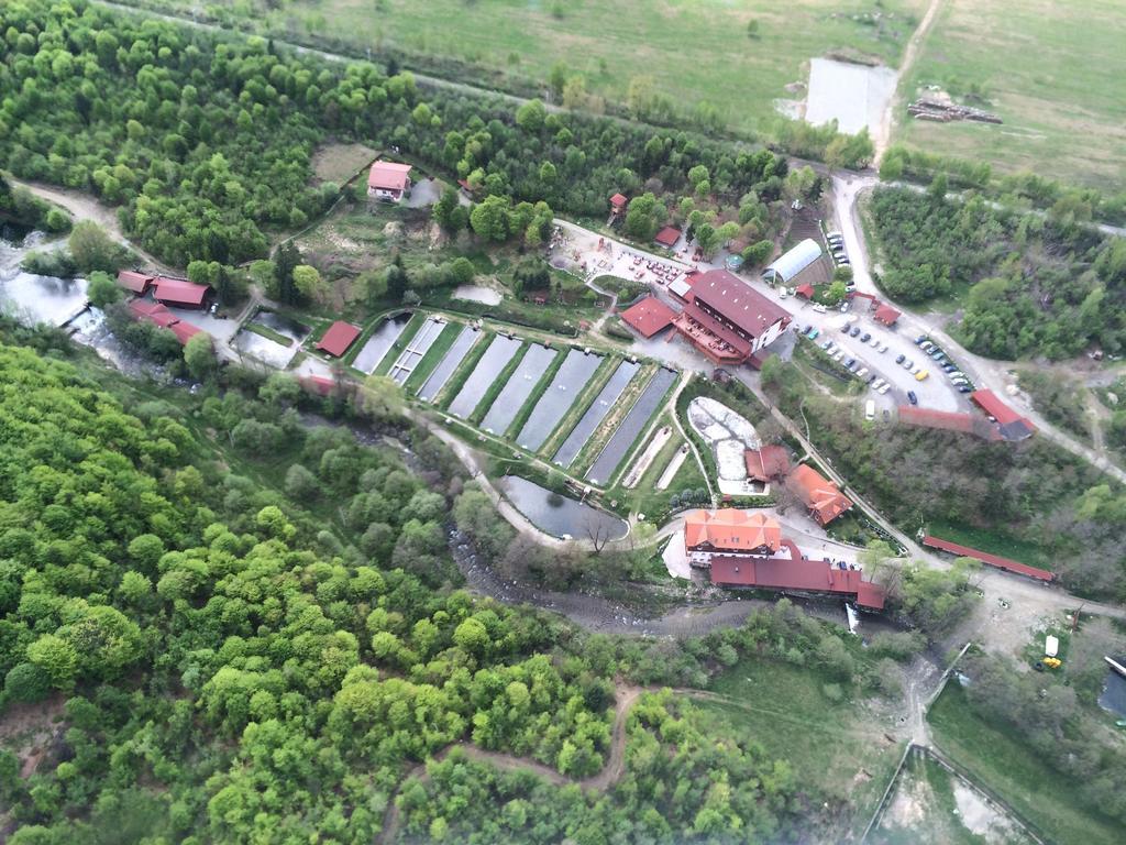 Complex Pastravaria Albota Arpasu de Sus ภายนอก รูปภาพ