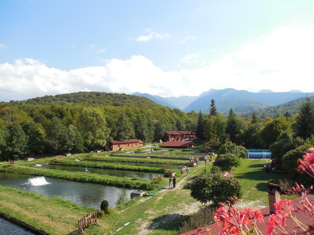 Complex Pastravaria Albota Arpasu de Sus ภายนอก รูปภาพ