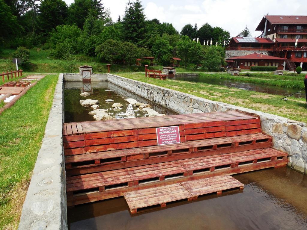 Complex Pastravaria Albota Arpasu de Sus ภายนอก รูปภาพ